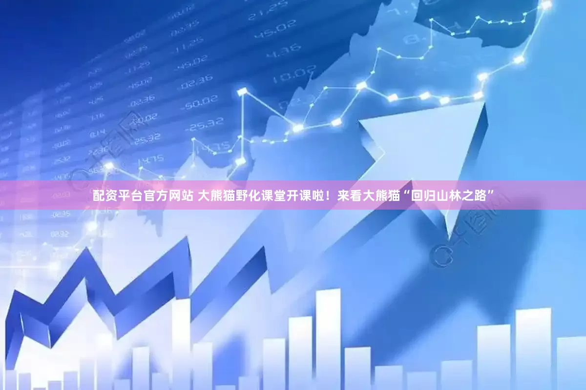 配资平台官方网站 大熊猫野化课堂开课啦！来看大熊猫“回归山林之路”