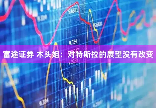 富途证券 木头姐：对特斯拉的展望没有改变